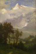 Albert Bierstadt View of Wetterhorn from the Valley of Grindelwald oil painting picture wholesale